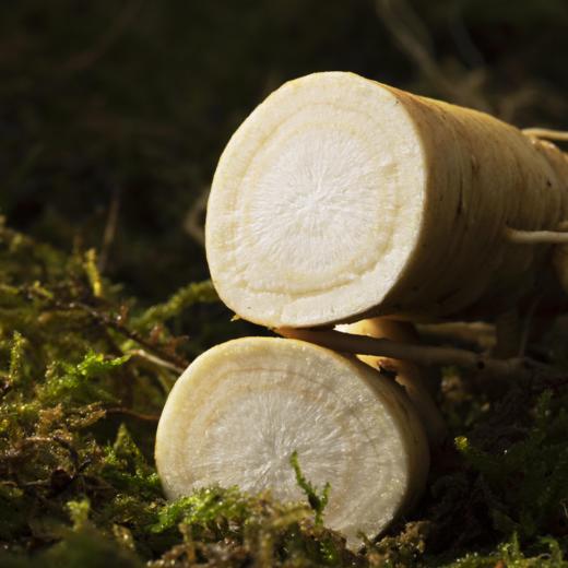 2022鲜参上市 益盛 长白山有机鲜人参礼盒2支装[D类] 商品图8