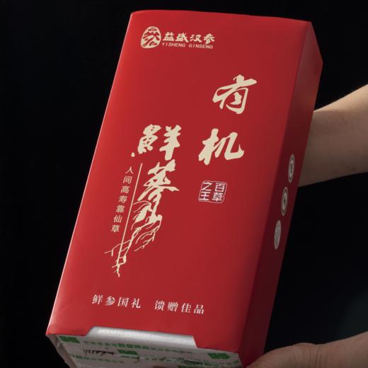 2022鲜参上市 益盛 长白山有机鲜人参礼盒2支装[D类] 商品图10