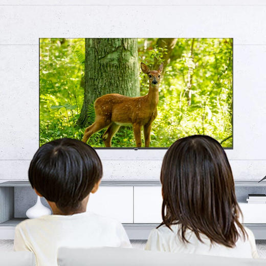 创维电视Skyworth 65G16 65英寸4K超高清光学防蓝光护眼全面屏 商品图5