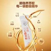 只萃取鲜三七活性物质浓缩成粉的三七精萃粉  2g*30/盒 商品缩略图2