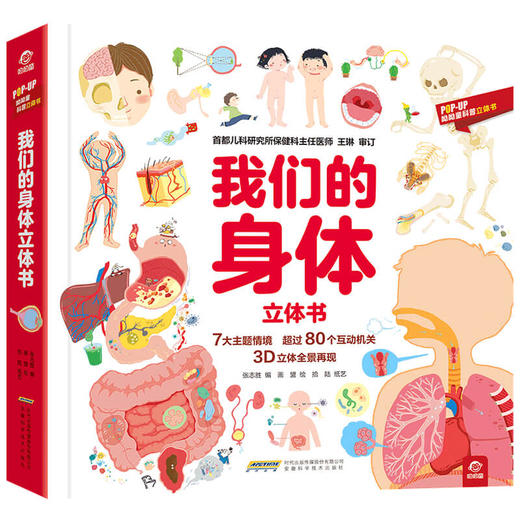 【POP-UP科普立体书】我们的身体立体书 3-6岁 张志胜 编 玩具书 商品图1