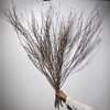 叶材 ｜ 干枝雪柳 商品缩略图0