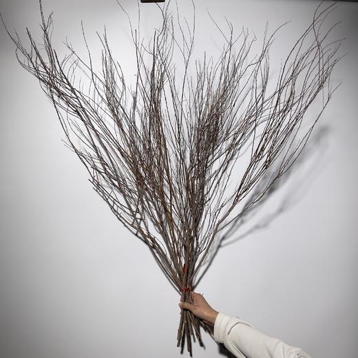 叶材 ｜ 干枝雪柳 商品图0