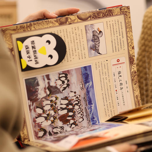 神秘日志·达尔文环球旅行记 6岁+65个动物科普知识11种海洋知识14个探险地 26个趣闻故事 商品图2