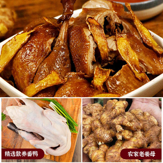 早龙姜母鸭福建卤味熟食礼盒鸭肉小吃零食节日礼品厦门特产伴手礼 商品图2