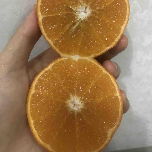 广西沃柑 商品图5