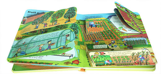 尤斯伯恩看里面系列 食物 英文原版 Usborne Look Inside Food 儿童科普百科 英文版英语启蒙认知绘本 进口原版纸板翻翻书 商品图3