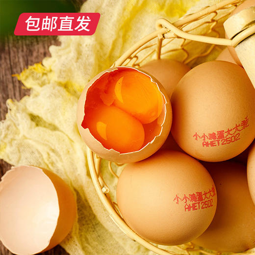 【包邮直发】德青源双黄鸡蛋尊享款 10枚/650g 商品图1