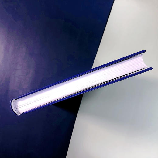 气体净化膜材料与膜技术 商品图5