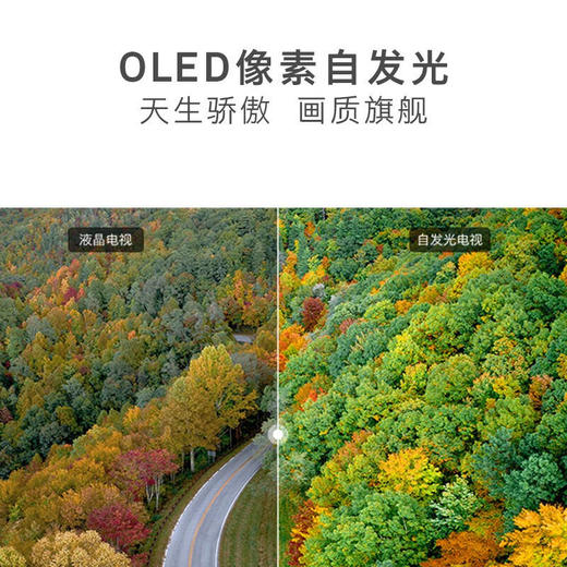 创维（Skyworth）77英寸77S81 4K超清 免遥控声控 护眼超薄OLED智慧全面屏电视机 旗舰OLED智能电视 商品图5