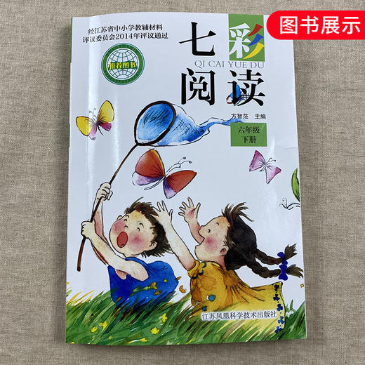 六年级下册七彩阅读 江苏省中小学教辅材料语文配套阅读材料 6年级下册 小学教辅课外阅读教材同步拓展阅读训练 新华书店正版书籍 商品图4