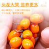 福东海 沙棘原浆150ml 鲜榨沙棘汁原浆含VC沙棘油 鲜榨纯沙棘果汁（临期至2022/09/08） 商品缩略图3