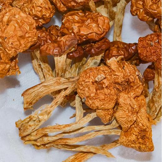 【乡吾农品】有机滑菇（100g） 商品图2