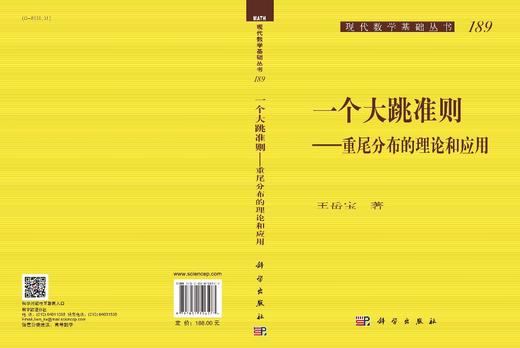 一个大跳准则：重尾分布的理论和应用/王岳宝 商品图2