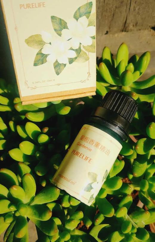 【纯妧手工坊】圣诞香薰套装～香薰蜡烛（棕色款）～香薰精油～香薰片～2件装 商品图5