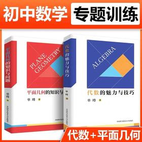 平面几何的知识与问题+代数的魅力与技巧