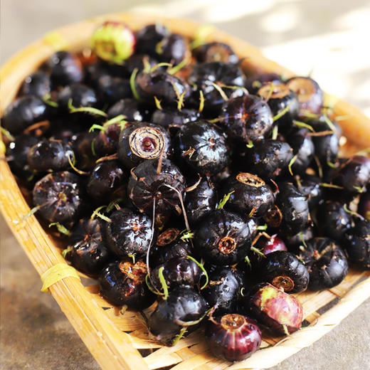 云南高原红果参    酸甜香脆  果实饱满肉厚甜脆  果实饱满   花青素含量超高 商品图1