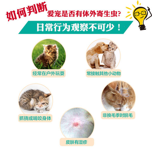 【积分商城】老金家驱虫套餐（猫用）-海乐妙体内片剂+宠沃体外滴剂 商品图3
