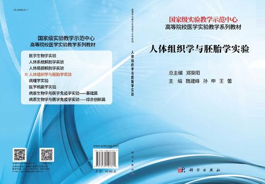 人体组织学与胚胎学实验/魏建峰 孙申 王蕾 商品图2