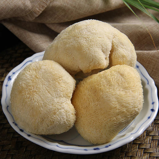 【秋冬调胃】高山新鲜猴头菇 菌肉鲜嫩 营养丰富手工采摘 400g*2盒装  顺丰/京东 商品图3