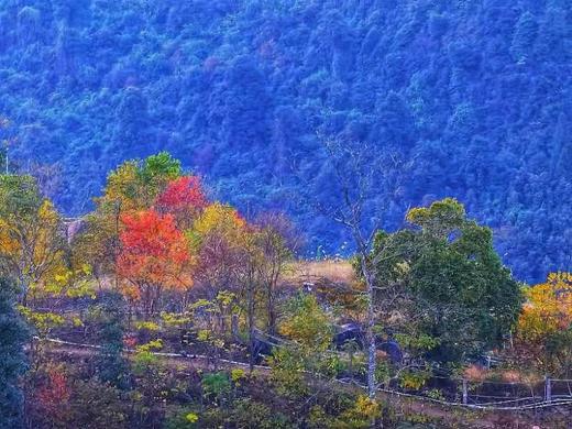 12.20【清远】广东“玉龙雪山”金子山·瑶寨风情两天摄影<臻享1元> 商品图9