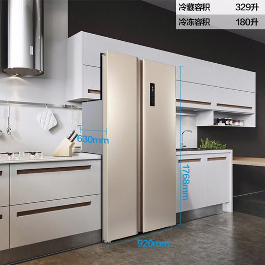 【臻实惠】TCL 对开门风冷冰箱 BCD-509WEFA1流光金 商品图2