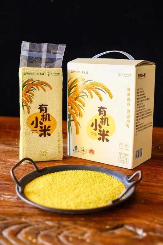 【2021年新米赤峰有机小米】米油丰富好口感健脾养胃内蒙古赤峰毛毛谷小米500g*5包一共5斤装 商品图0