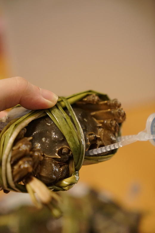 正宗阳澄湖产区大闸蟹！确保100%来自阳澄湖！21年第一篓大闸蟹。协会戒指，草绳绑蟹，两个规格可选「顺丰冷链空运」 商品图6