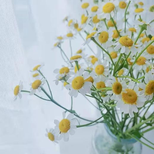 激活你的手机成为专业版 商品图0