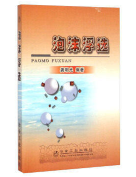 泡沫浮选/龚明光