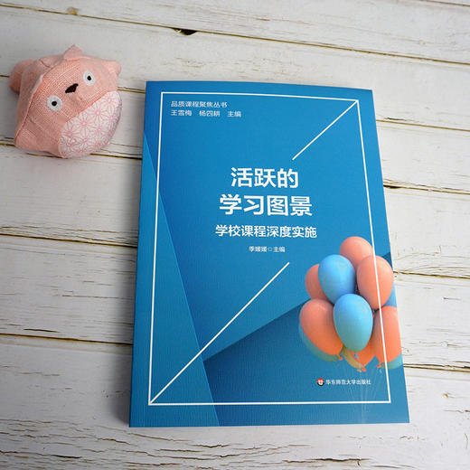 活跃的学习图景：学校课程深度实施 品质课程聚焦丛书 学习方式变革 课程设置与实施创新 小学案例 正版 华东师范大学出版社 商品图1