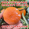 特惠活动『武鸣沃柑丑果8斤』现摘现发，香甜水润，颗粒饱满，表皮多花斑 商品缩略图7