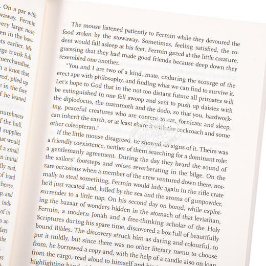 【中商原版】卡洛斯·鲁伊斯·萨丰：灵魂的迷空 英文原版 The Labyrinth of the Spirits Carlos Ruiz Zafon 商品图3