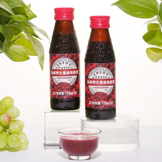 北纬52度大兴安岭产区有野生蔓越莓原浆100ml*8瓶盒装 商品图3