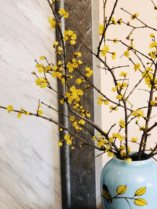 配花 ｜ 中国腊梅 商品图1