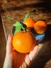 【顶级爱媛只有不到1%的人能吃得到】可以“吸”着吃的橙子皮薄肉厚甜蜜爆汁满满维C精选大果橙意满满5斤装只做核心产区树上熟的一级果甜度不够13坚决不摘 商品缩略图8