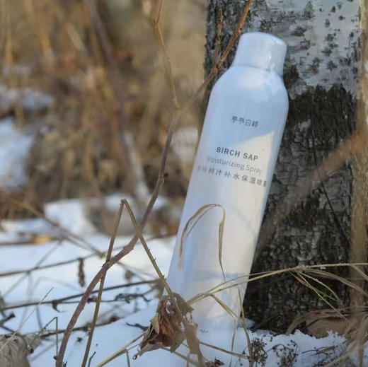 【神仙水】桦树汁喷雾300ml*2送50ml亲测保湿镇静有效敏感皮肤可用 商品图0