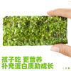 海狸先生海苔片22.4g*2盒 商品缩略图2