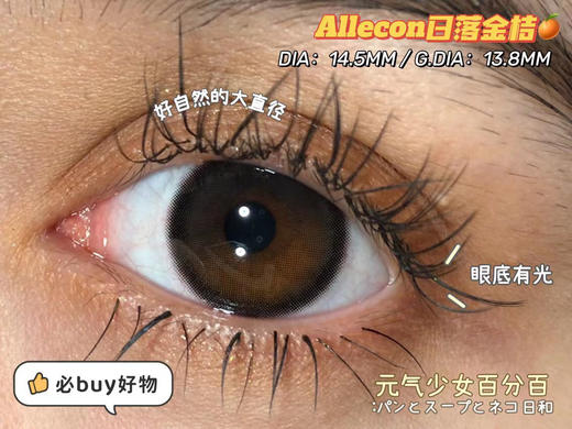 半年抛 Allecon 日落甜酒  14.5 着色13.8 商品图7