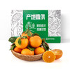 【顶级爱媛只有不到1%的人能吃得到】可以“吸”着吃的橙子皮薄肉厚甜蜜爆汁满满维C精选大果橙意满满5斤装只做核心产区树上熟的一级果甜度不够13坚决不摘 商品缩略图6