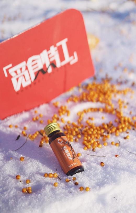 沙棘原浆内蒙古沙漠之花出品50ml/瓶10瓶/箱2箱装 商品图2