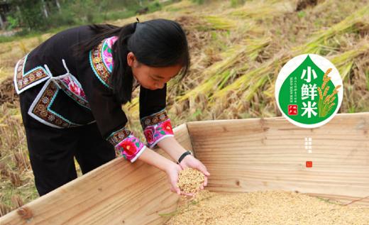 册亨小鲜米5kg真空包装 商品图2