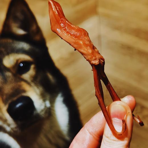 [屁侠推荐.pippa]老底子味道 酱香浓郁 弹嫩爽口 温州秘制鸭舌 饥饿F姐 250g*2包 商品图0