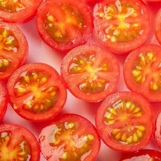 茂名电白千禧小番茄 2/4斤装 （48-72小时发货 下雨推迟） 商品图1