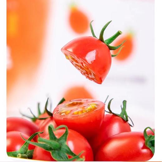 茂名电白千禧小番茄 2/4斤装 （48-72小时发货 下雨推迟） 商品图2