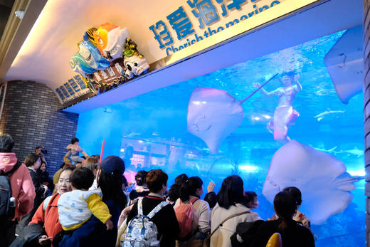 浩海立方海洋公园合家欢年卡 商品图1