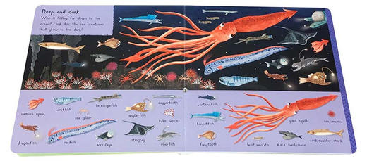101种海洋生物 英文原版绘本 There Are 101 Sea Creatures in This Book 英文版儿童英语启蒙翻翻纸板书 益智科普亲子阅读图画书 商品图2