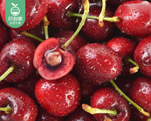 【当季叼果】智利santina车厘子（JD级）/1份（约2.5kg） 商品图2