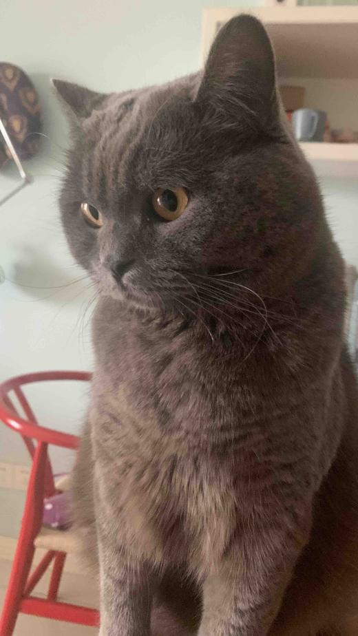 类目测试可删除 商品图0