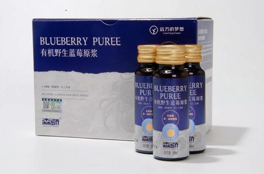 小兴安岭丨野生蓝莓原浆丨富含花青素丨每瓶50ml2盒共16瓶装丨成人/儿童款 商品图11